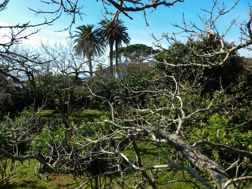 Country house Quinta Do Espirito Santo